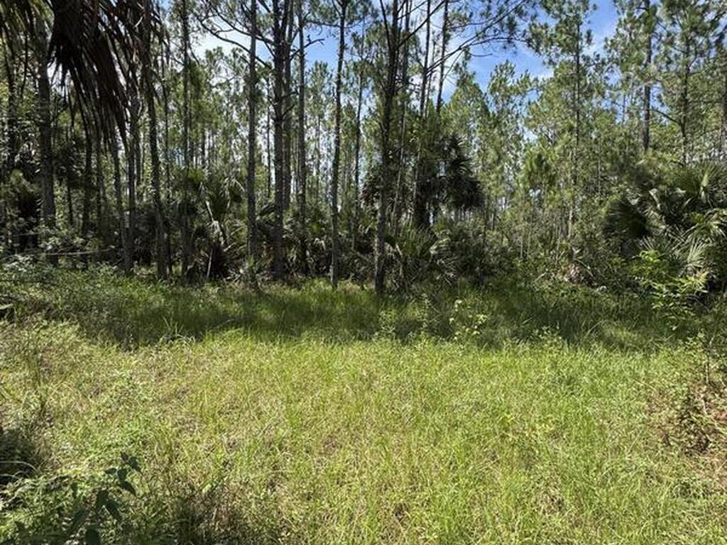 4300 Justa Road, Mims, FL 32754