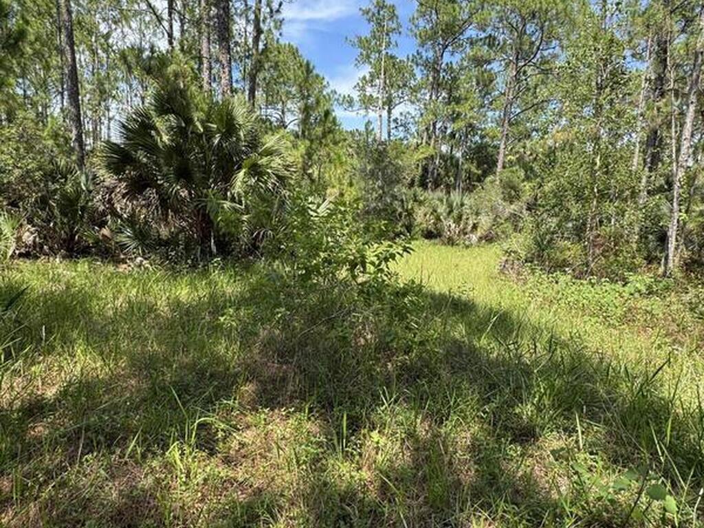 4300 Justa Road, Mims, FL 32754