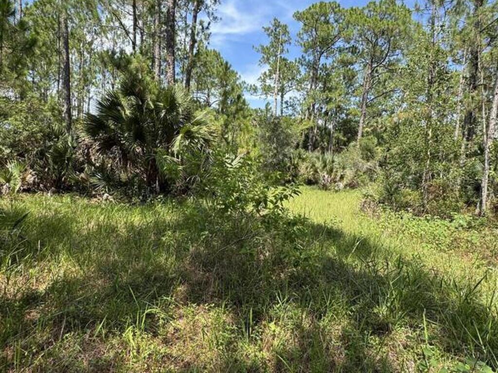 4300 Justa Road, Mims, FL 32754