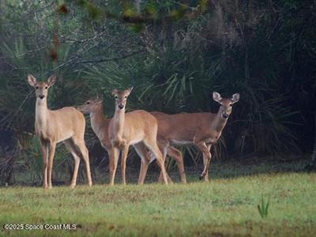 32801 Hwy 441 Lot 192, Okeechobee, FL 34972