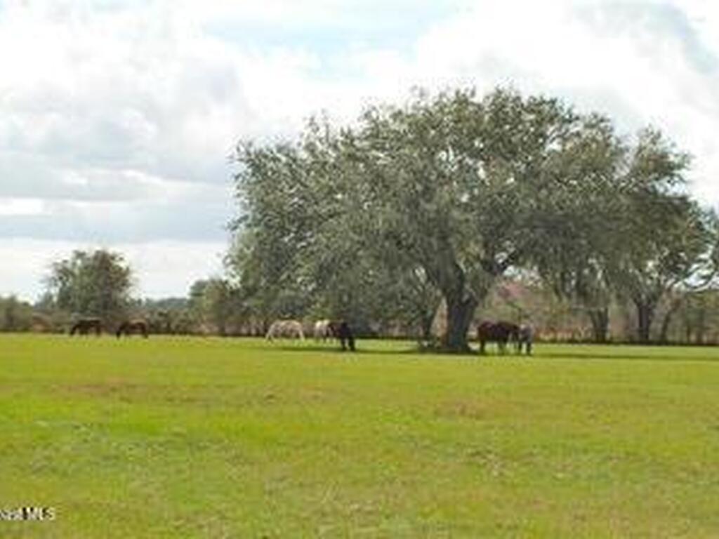 32801 Hwy 441 Lot 192, Okeechobee, FL 34972