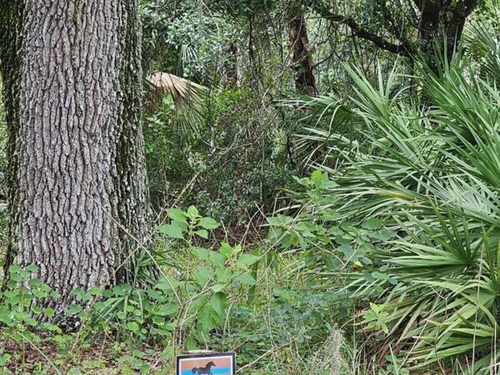 32801 Hwy 441 Lot 192, Okeechobee, FL 34972