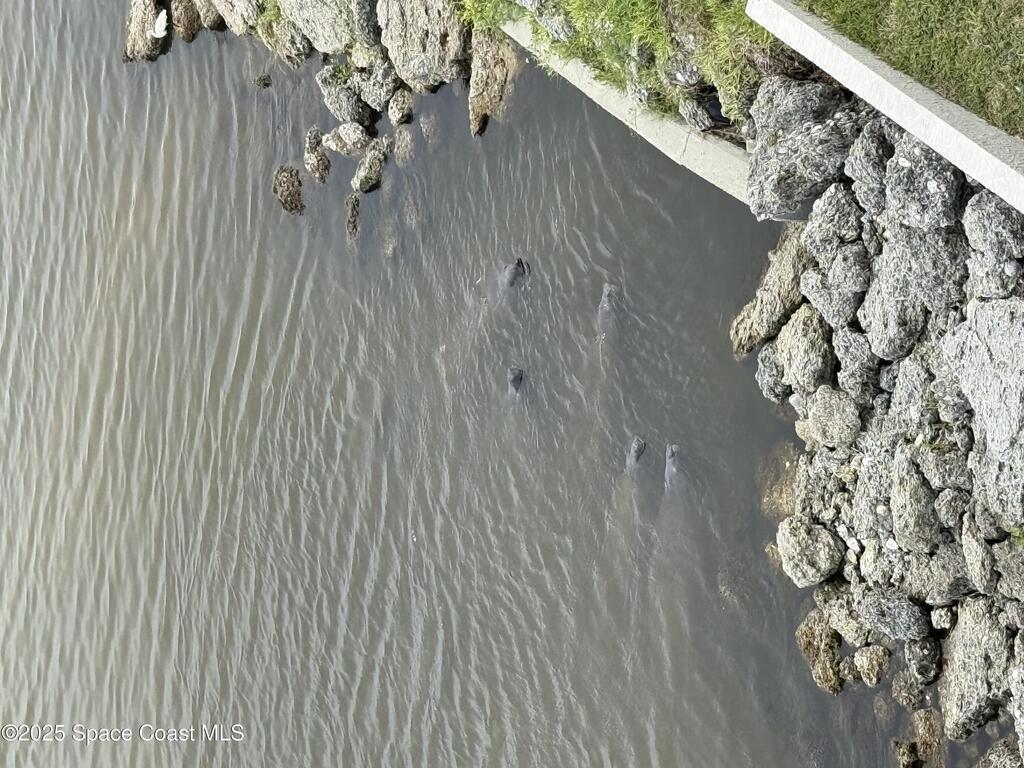 1805 Riverside Drive, Titusville, FL 32780