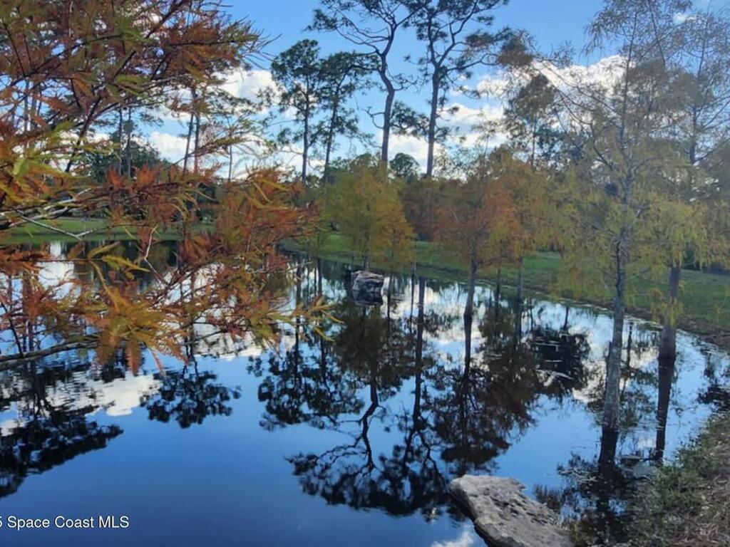 7330 Crabgrass Road, St. Cloud, FL 34773