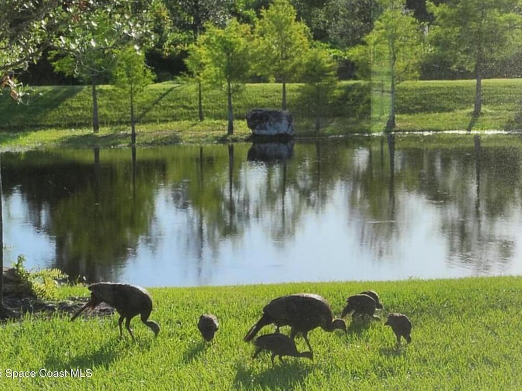 7330 Crabgrass Road, St. Cloud, FL 34773