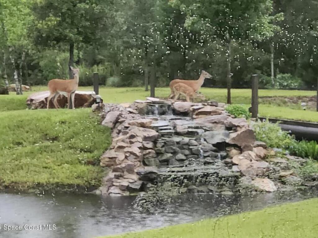 7330 Crabgrass Road, St. Cloud, FL 34773