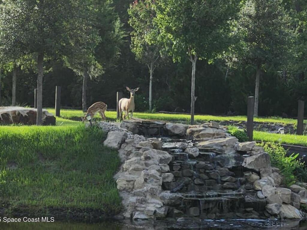 7330 Crabgrass Road, St. Cloud, FL 34773