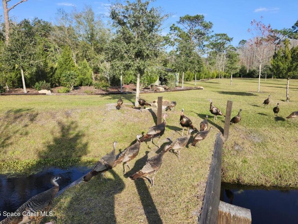 7330 Crabgrass Road, St. Cloud, FL 34773