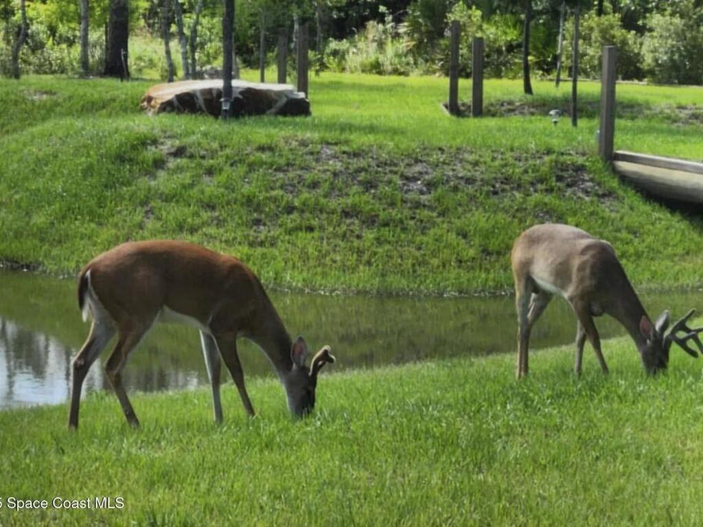 7330 Crabgrass Road, St. Cloud, FL 34773