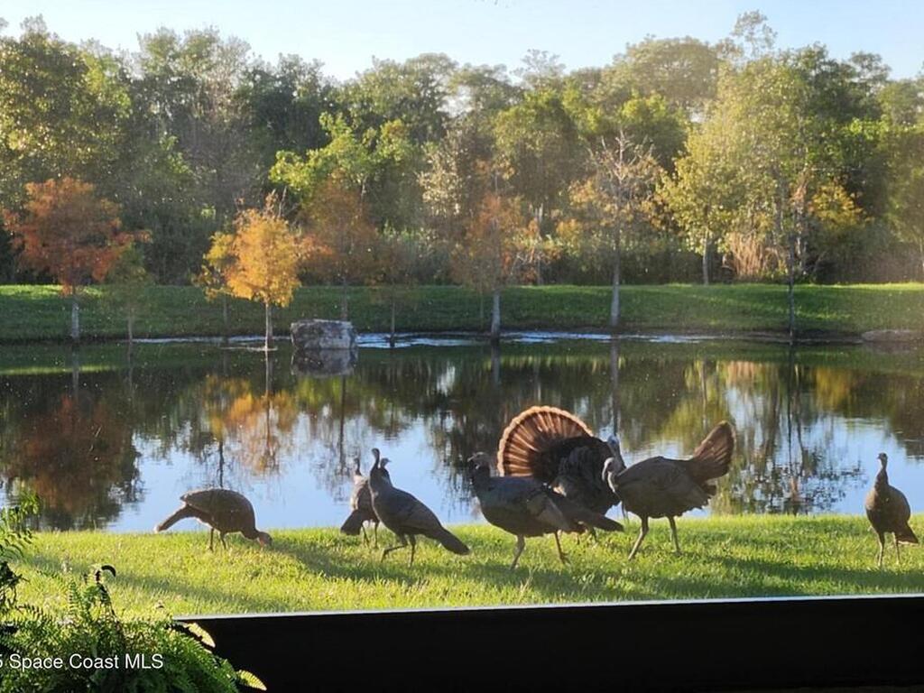 7330 Crabgrass Road, St. Cloud, FL 34773