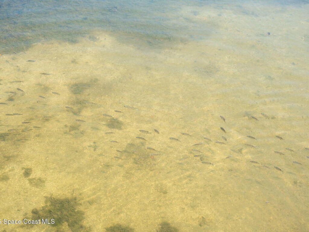 3745 Indian River Drive, Cocoa, FL 32926