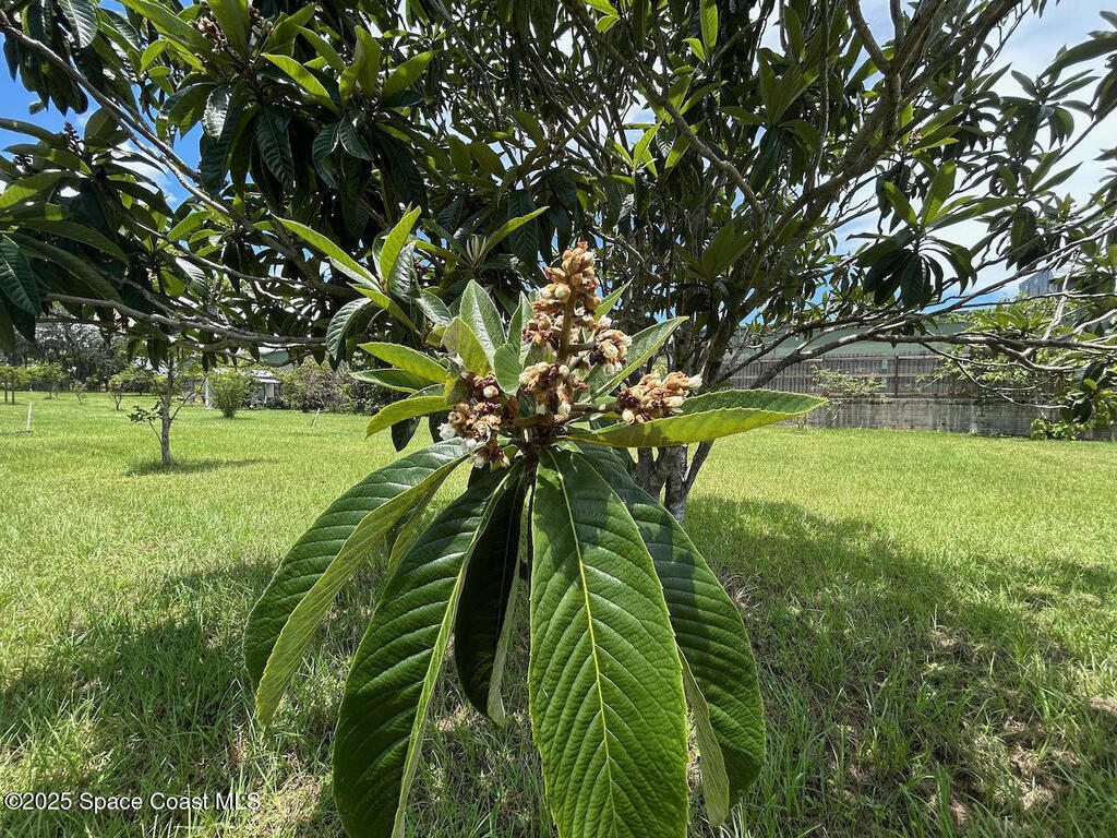 101 S Singleton Avenue, Titusville, FL 32796