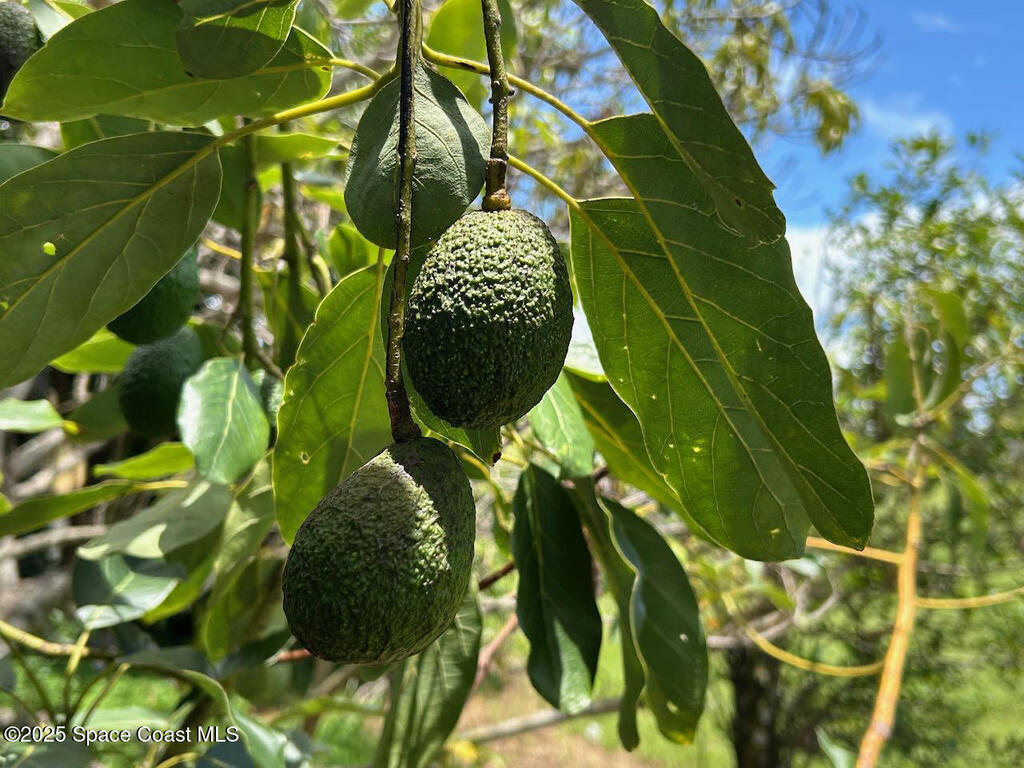 101 S Singleton Avenue, Titusville, FL 32796