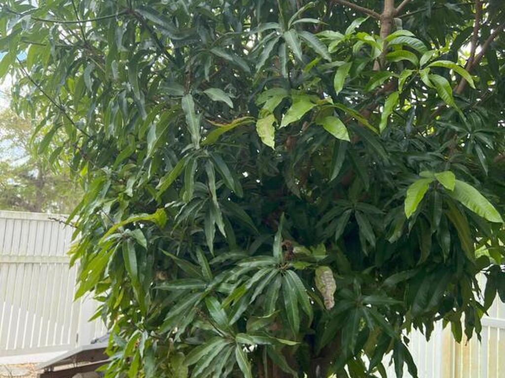 1748 Winding Ridge Circle, Palm Bay, FL 32909