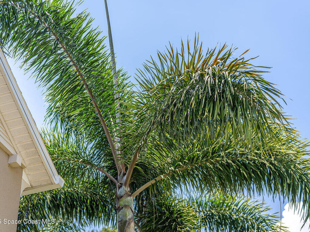 2003 Killian Drive, Palm Bay, FL 32905