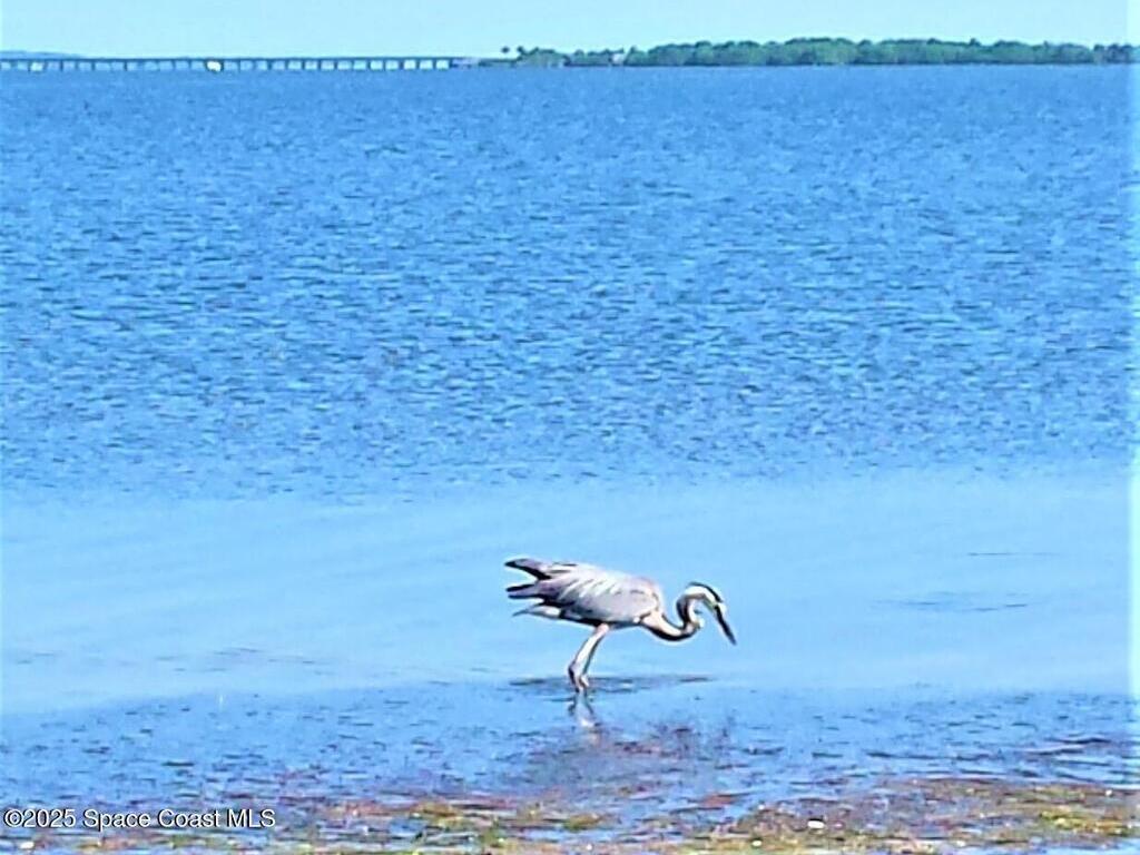 685 Margie Drive, Titusville, FL 32780