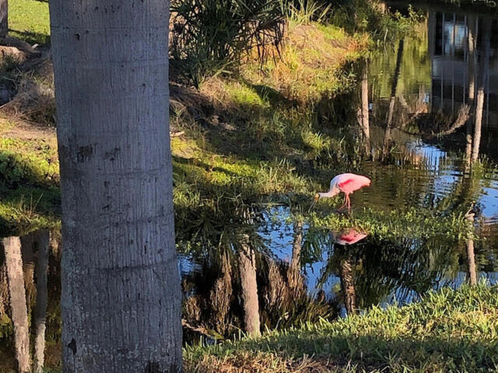 44 Vista Gardens Trail, Vero Beach, FL 32962