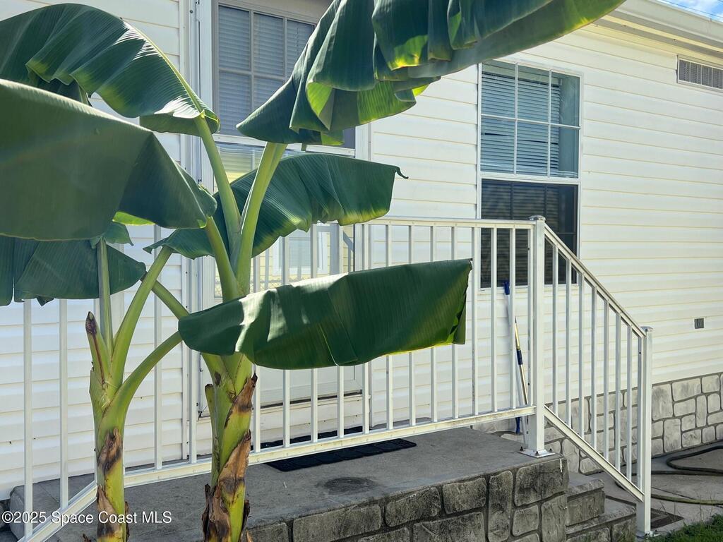 835 Vireo Drive, Barefoot Bay, FL 32976