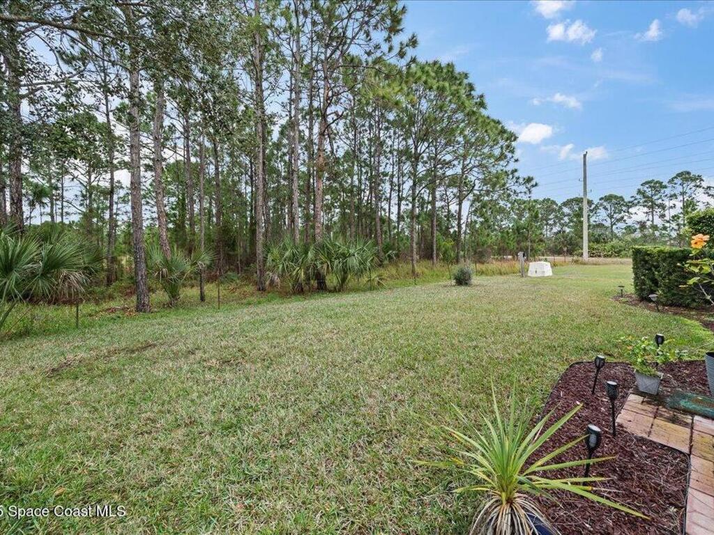 745 Remington Green Drive, Palm Bay, FL 32909