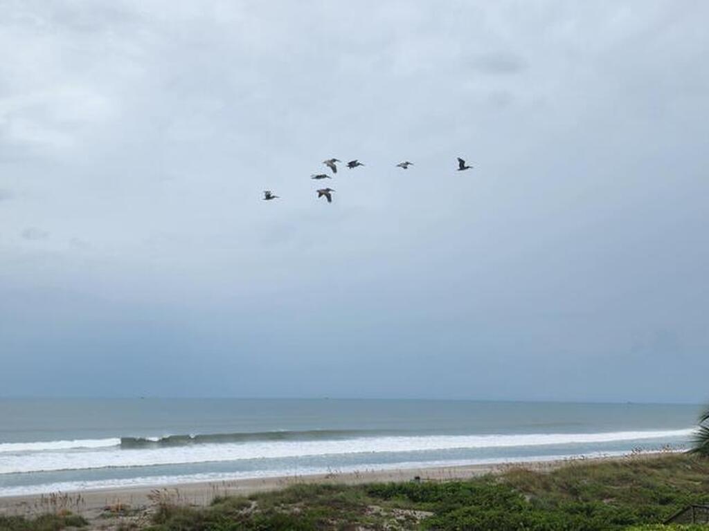 3223 S Atlantic Avenue, Cocoa Beach, FL 32931