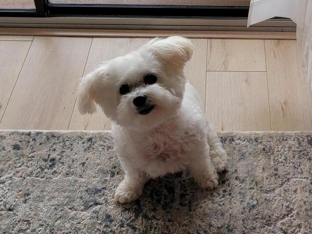 3873 S Banana River Boulevard, Cocoa Beach, FL 32931