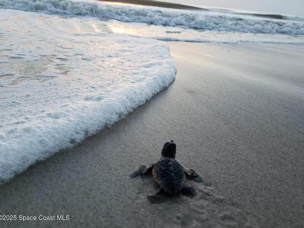 3037 S Highway A1a, Melbourne Beach, FL 32951