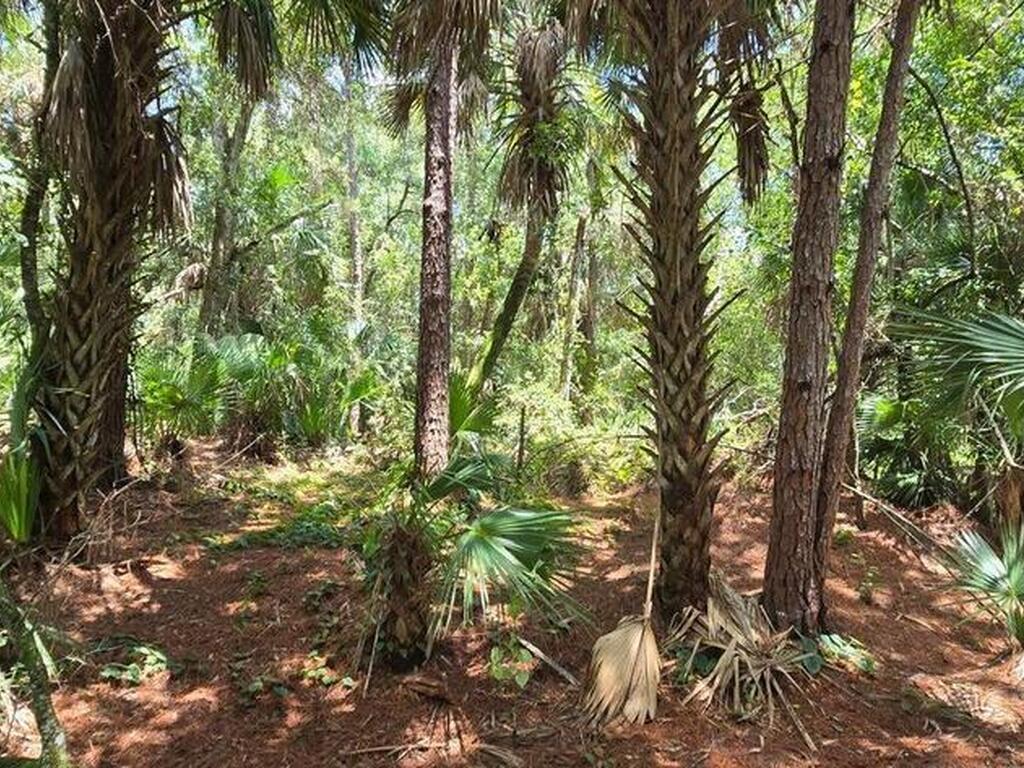 100 NW 38th Avenue, Okeechobee, FL 34972