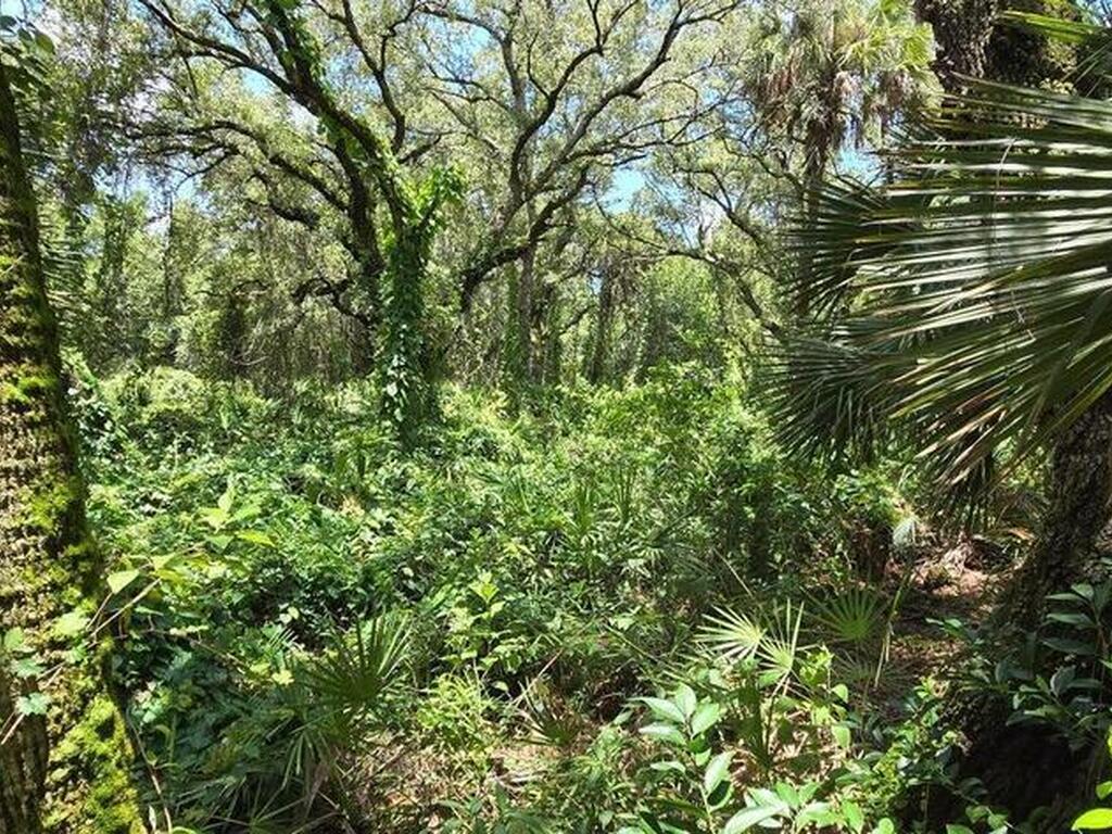 100 NW 38th Avenue, Okeechobee, FL 34972