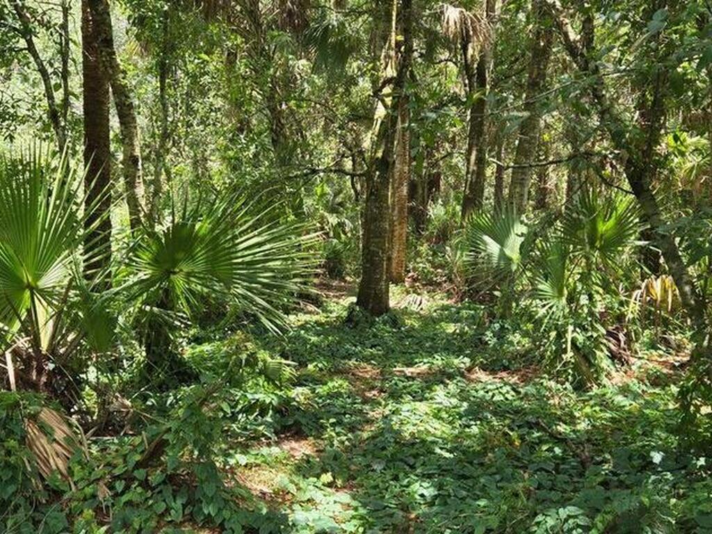 100 NW 38th Avenue, Okeechobee, FL 34972