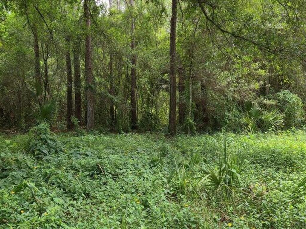 100 NW 38th Avenue, Okeechobee, FL 34972