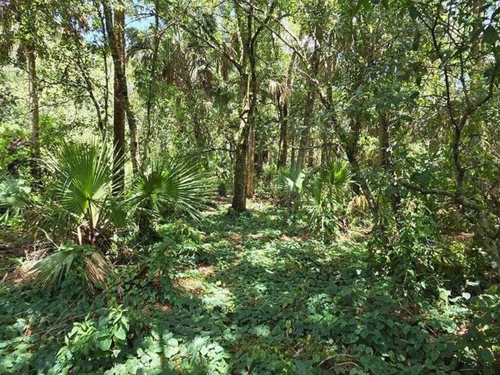 100 NW 38th Avenue, Okeechobee, FL 34972