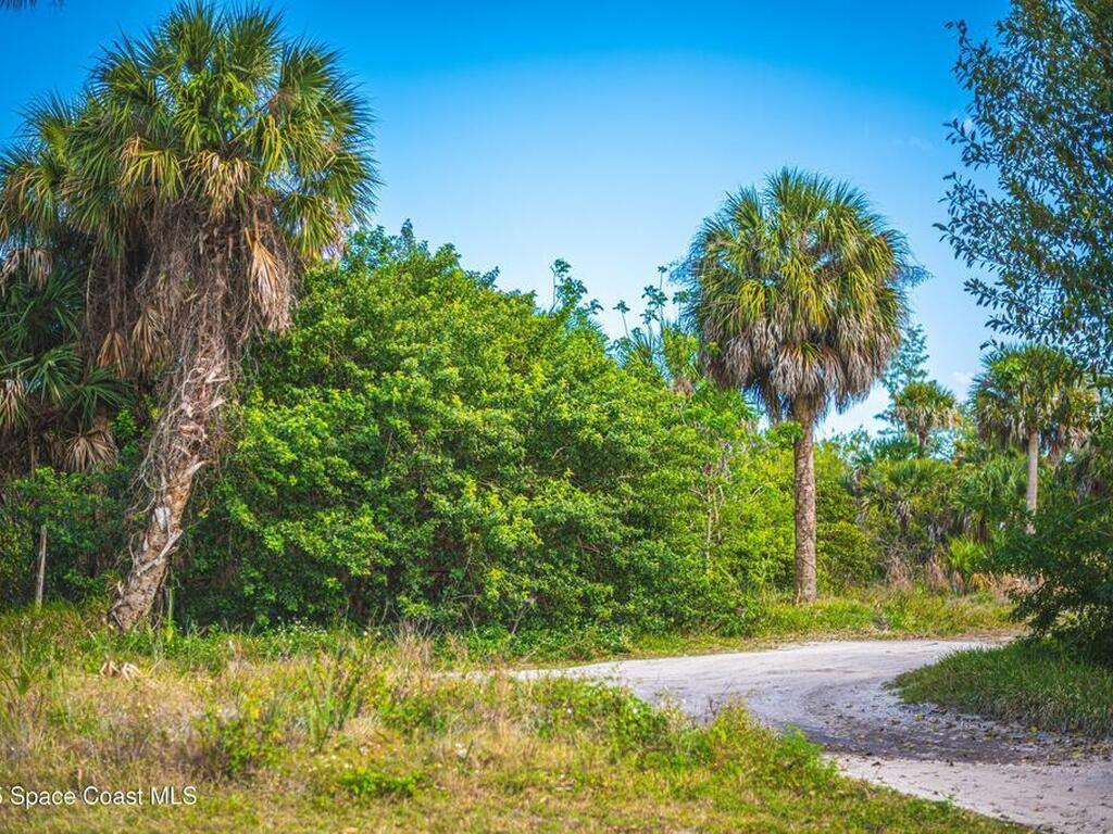 2437 Yount Drive, Merritt Island, FL 32952