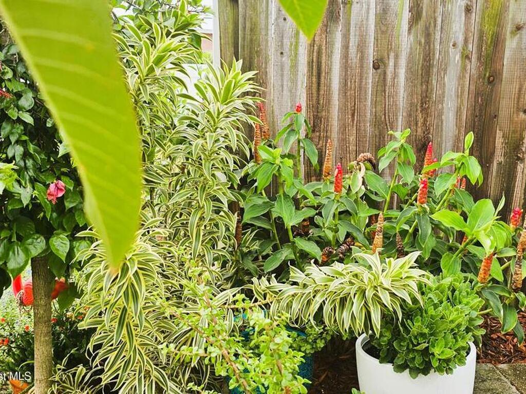 419 Madison Avenue, Cape Canaveral, FL 32920