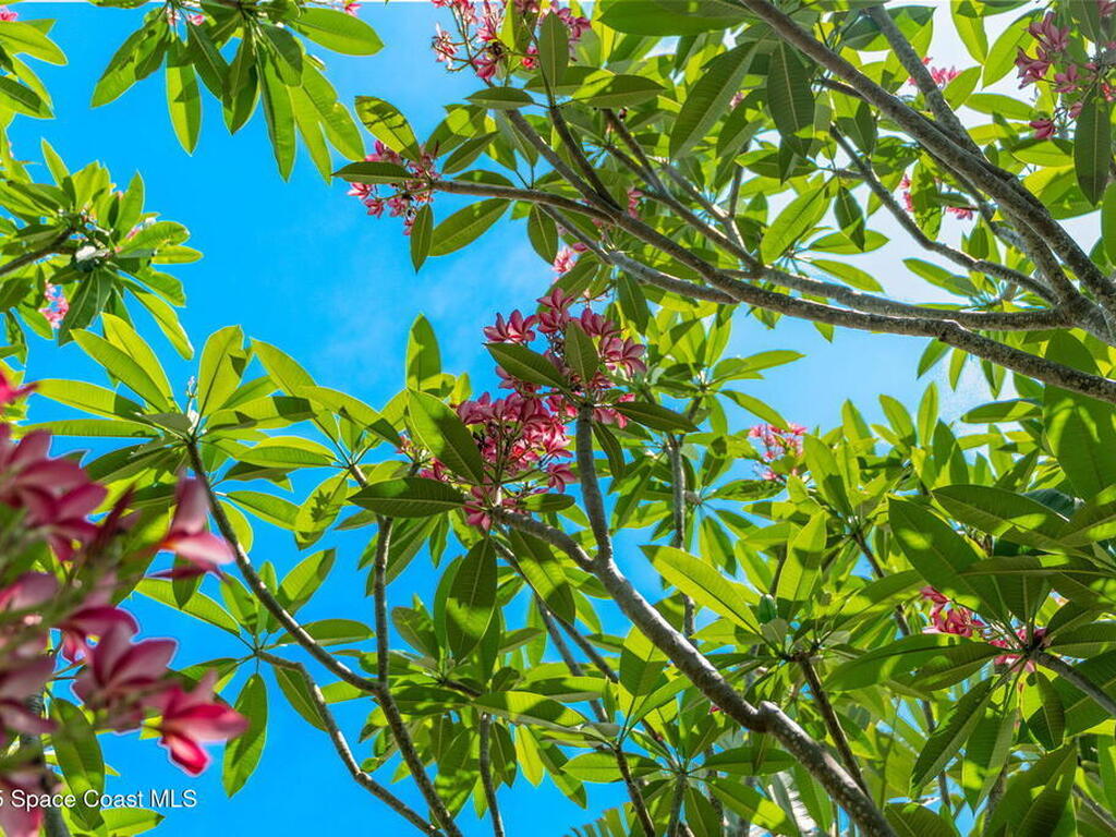 4527 Coquina Ridge Drive, Melbourne, FL 32935