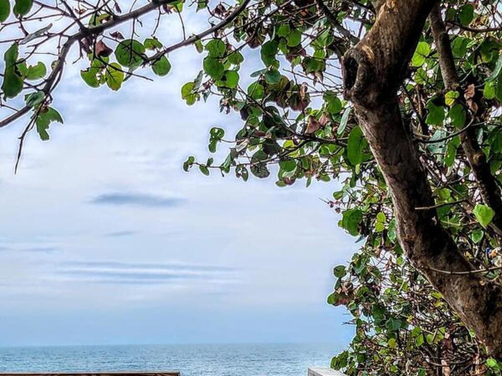 1953 Cato Court, Indialantic, FL 32903