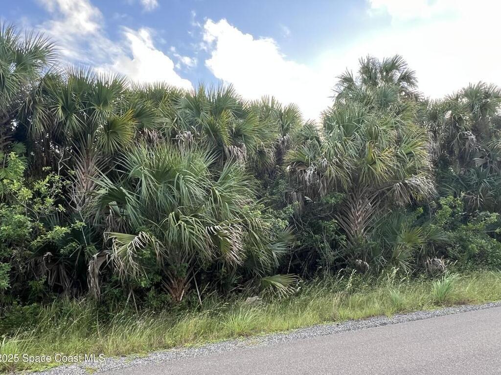 350 Lagoon Street, Palm Bay, FL 32908