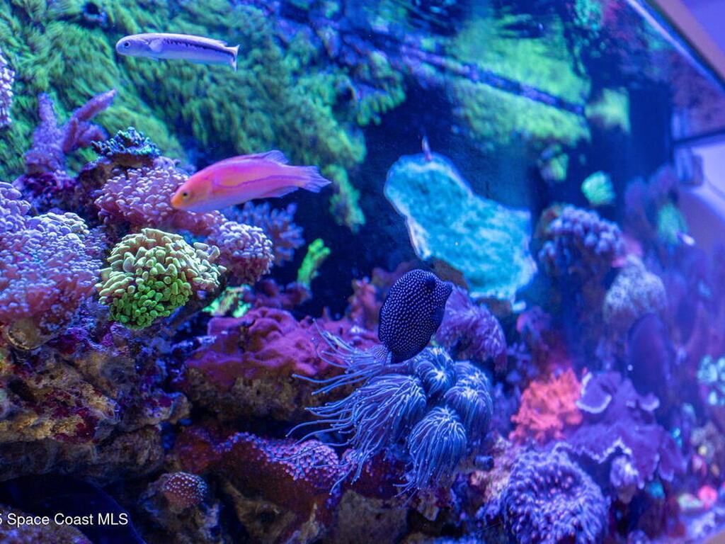 2294 N Riverside Drive, Indialantic, FL 32903