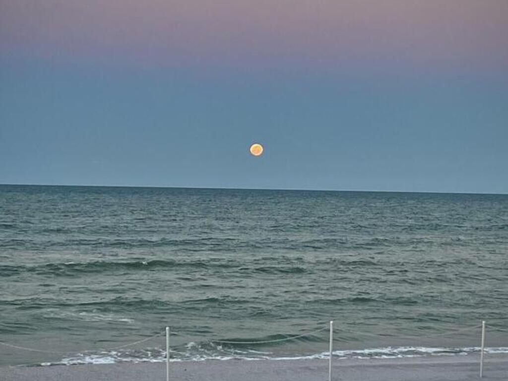 175 Highway A1a Highway, Satellite Beach, FL 32937