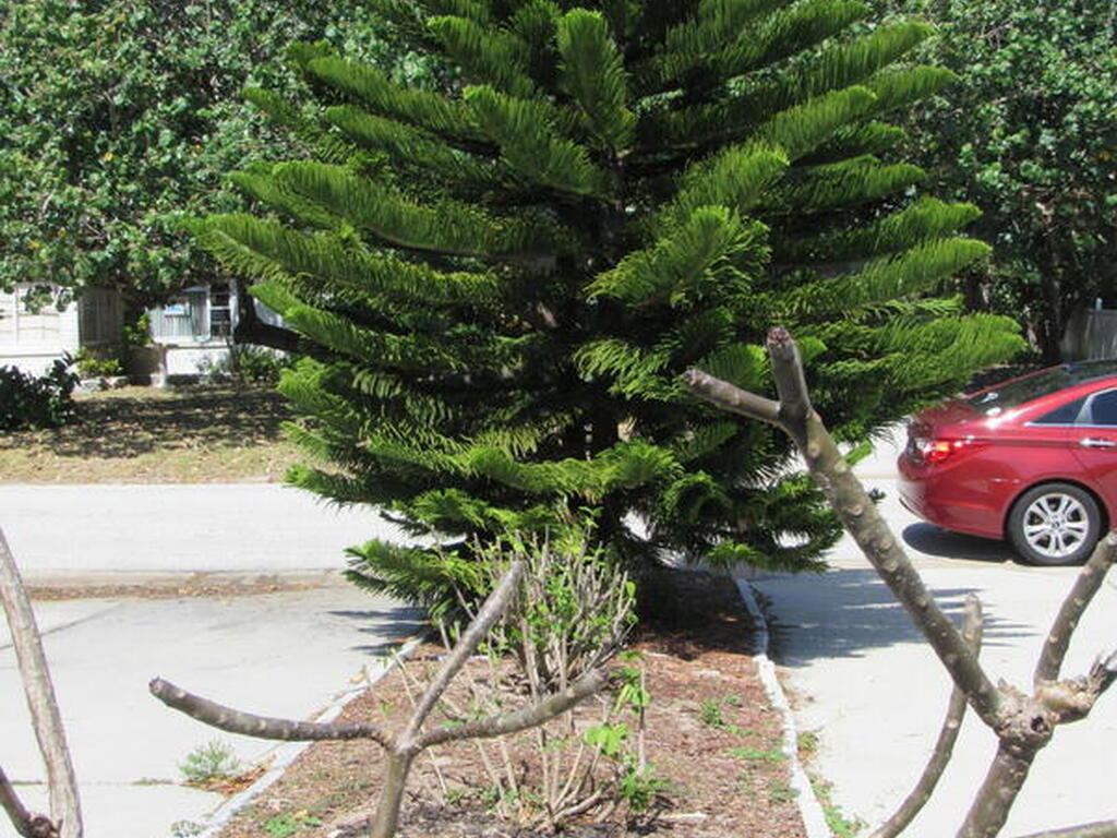 113 Harrison Avenue, Cape Canaveral, FL 32920