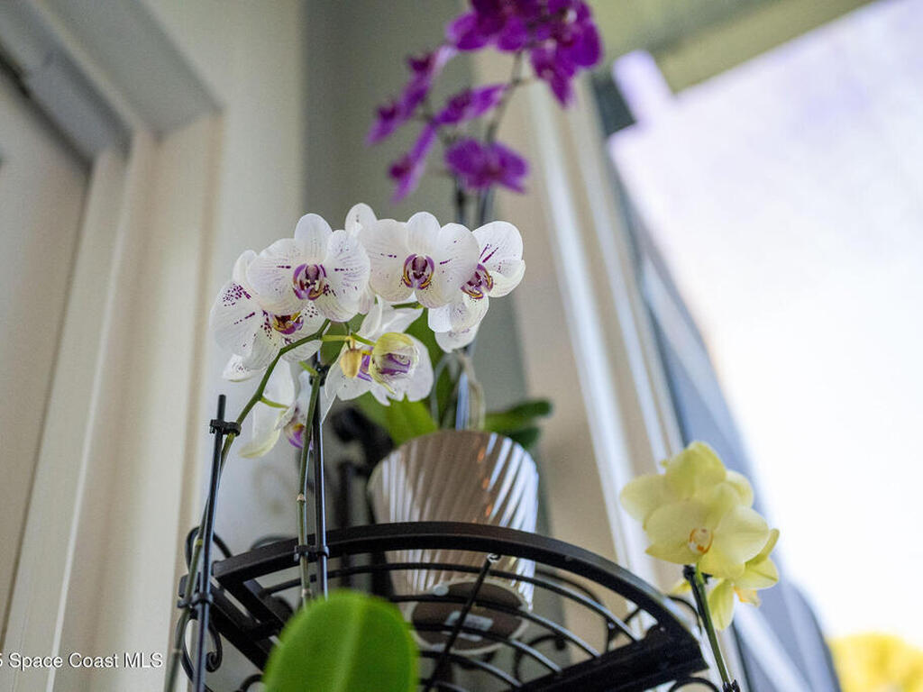 5115 Wildwood Avenue, Merritt Island, FL 32953