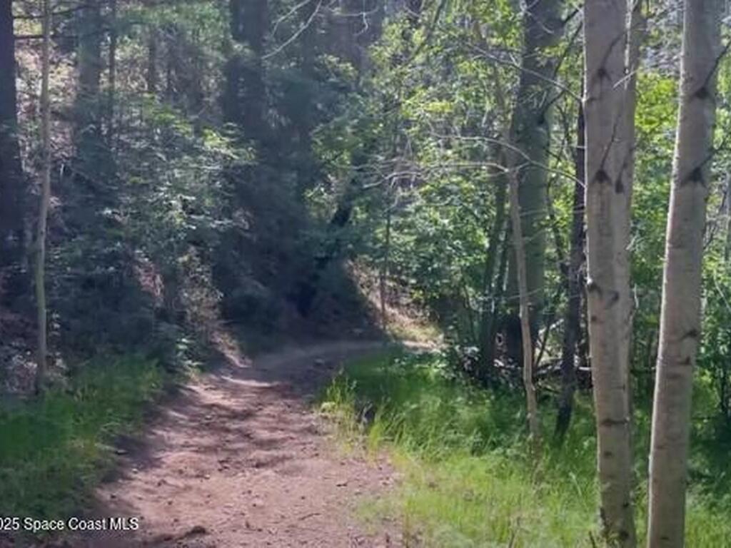 1158 Altair Way, Grant-Valkaria, FL 32950