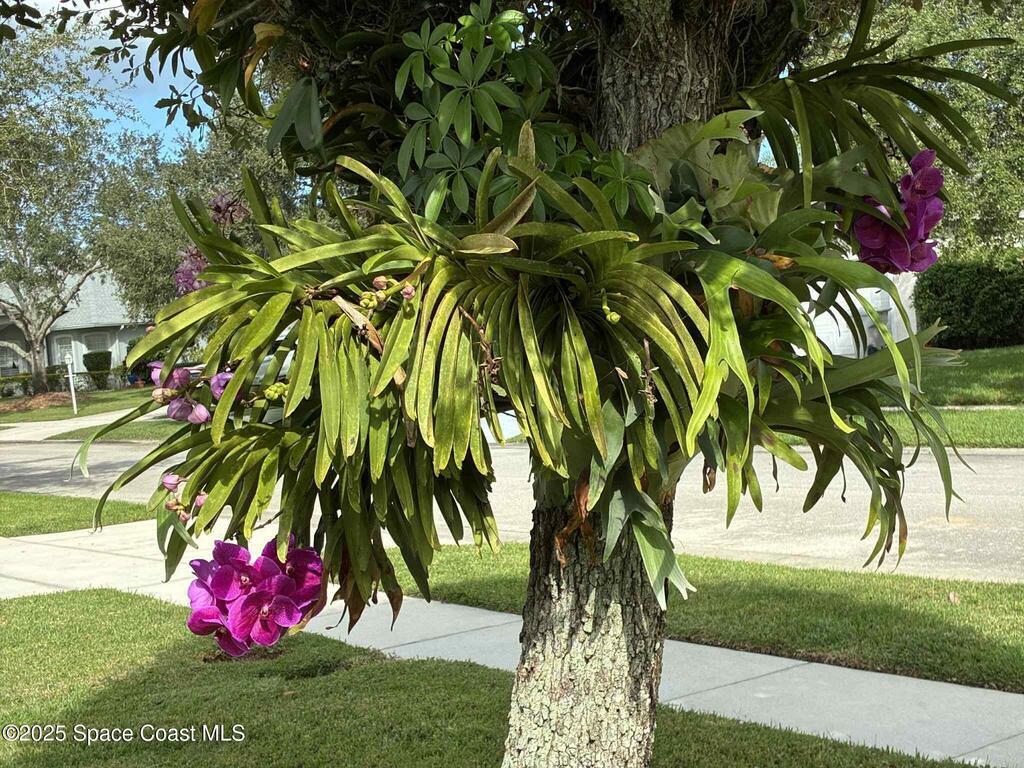 5200 E 1st Square, Vero Beach, FL 32968