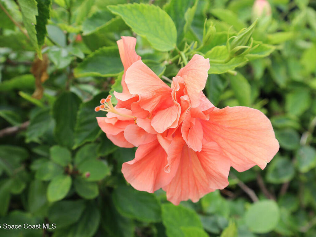 115 Aquarina Boulevard, Melbourne Beach, FL 32951