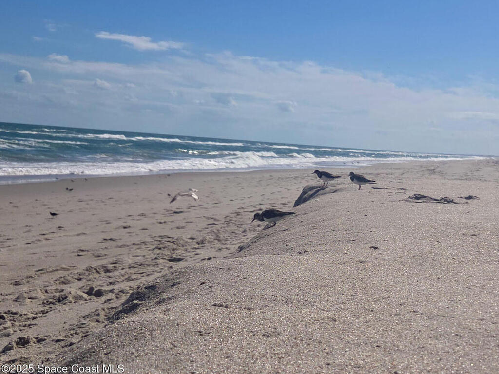 115 Aquarina Boulevard, Melbourne Beach, FL 32951