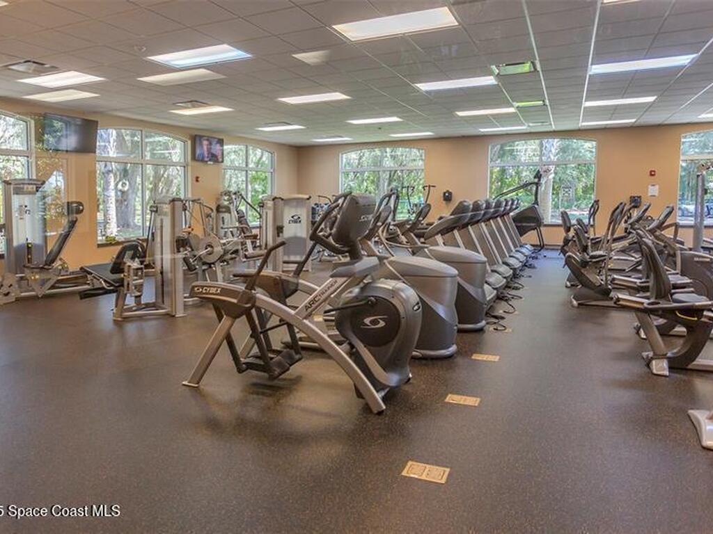 18199 Paradise Point Drive, Tampa, FL 33647