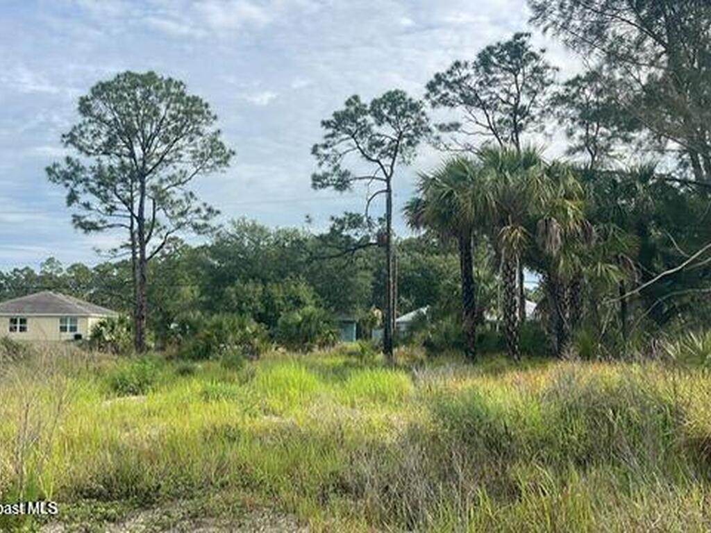 491 La Coco Street, Palm Bay, FL 32908