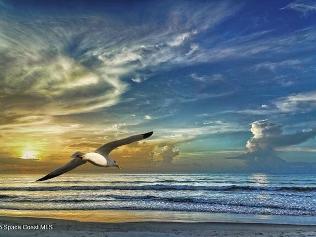 612 Monroe Avenue, Cape Canaveral, FL 32920