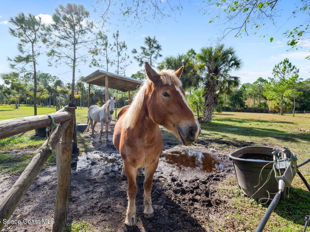 3262 Pheasant Trail, Mims, FL 32754