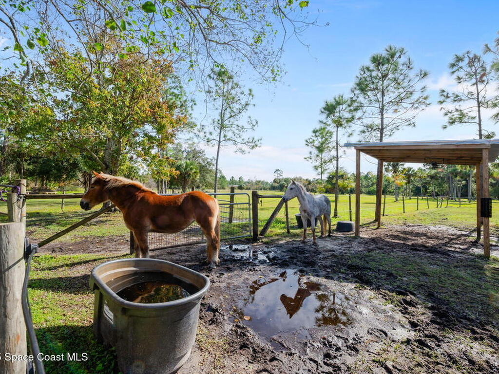 3262 Pheasant Trail, Mims, FL 32754