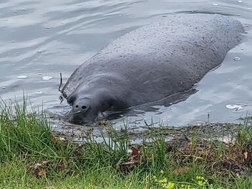 540 S Banana River Drive, Merritt Island, FL 32952